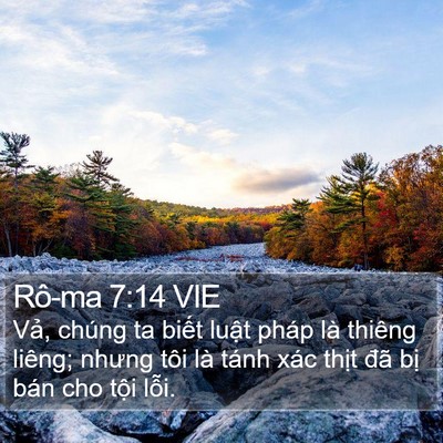 Rô-ma 7:14 VIE Bible Verse Image