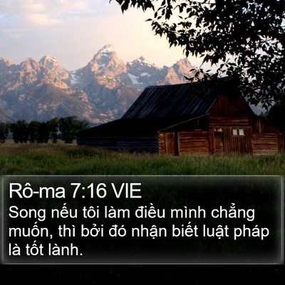 Rô-ma 7:16 VIE Bible Verse Image