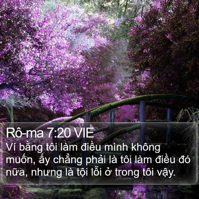 Rô-ma 7:20 VIE Bible Verse Image