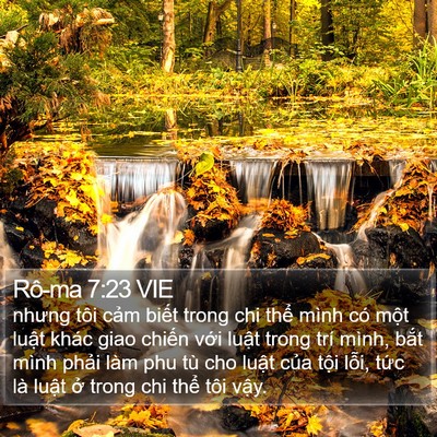 Rô-ma 7:23 VIE Bible Verse Image