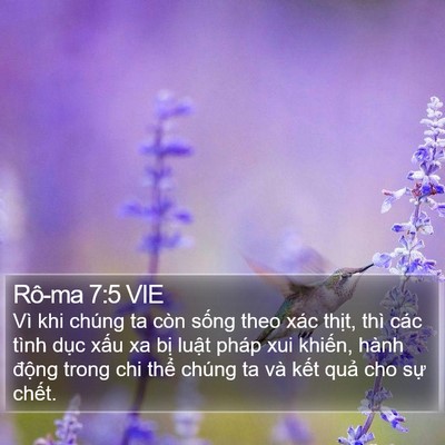 Rô-ma 7:5 VIE Bible Verse Image