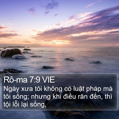 Rô-ma 7:9 VIE Bible Verse Image