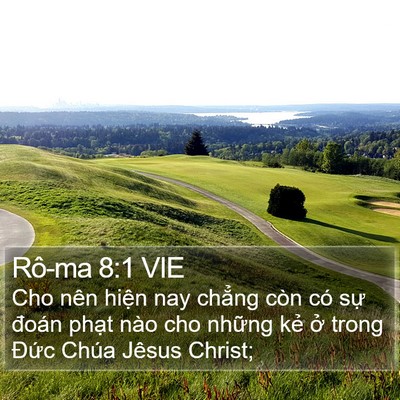 Rô-ma 8:1 VIE Bible Verse Image