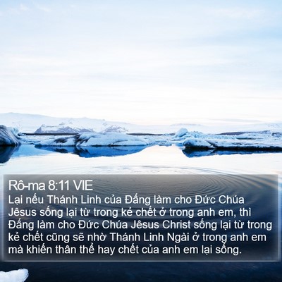 Rô-ma 8:11 VIE Bible Verse Image