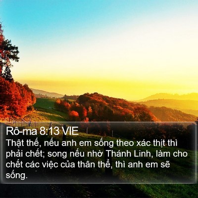Rô-ma 8:13 VIE Bible Verse Image