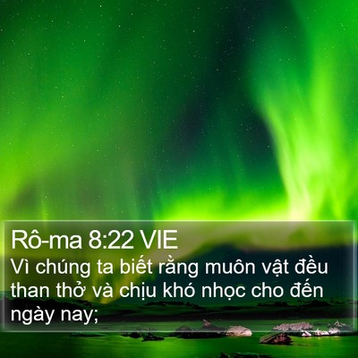 Rô-ma 8:22 VIE Bible Verse Image