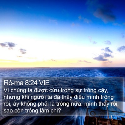 Rô-ma 8:24 VIE Bible Verse Image