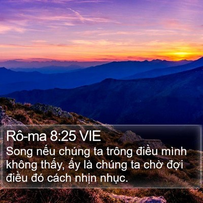 Rô-ma 8:25 VIE Bible Verse Image
