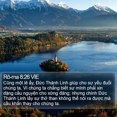 Rô-ma 8:26 VIE Bible Verse Image