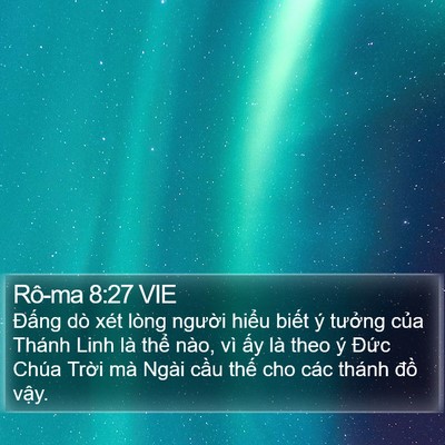 Rô-ma 8:27 VIE Bible Verse Image