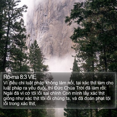 Rô-ma 8:3 VIE Bible Verse Image