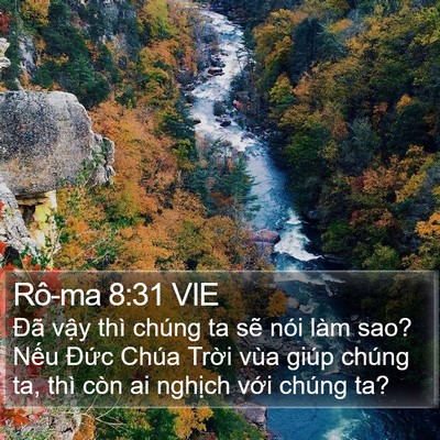 Rô-ma 8:31 VIE Bible Verse Image