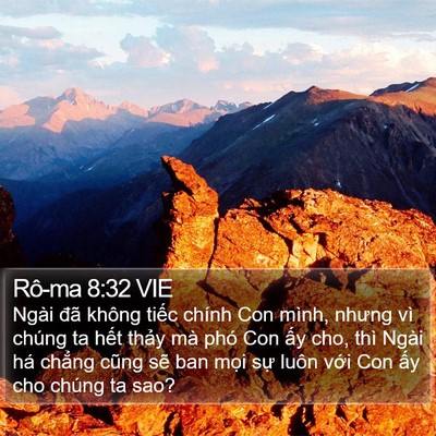 Rô-ma 8:32 VIE Bible Verse Image