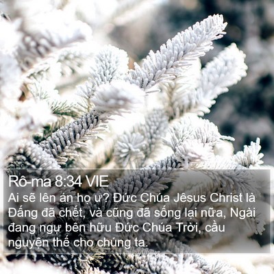 Rô-ma 8:34 VIE Bible Verse Image