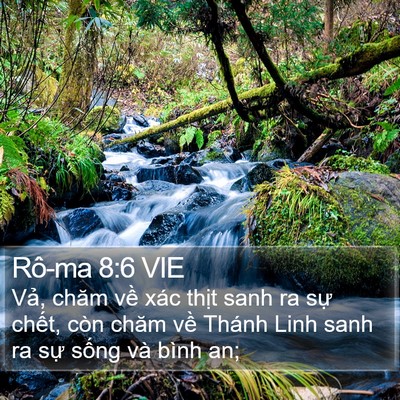 Rô-ma 8:6 VIE Bible Verse Image