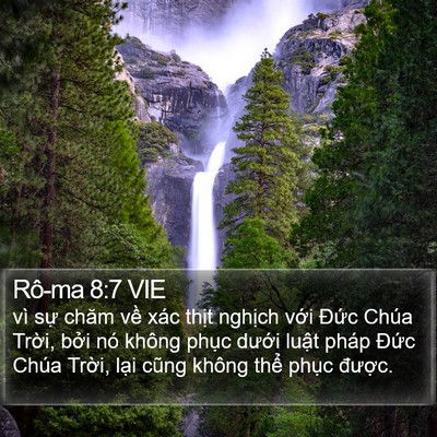Rô-ma 8:7 VIE Bible Verse Image