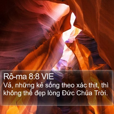 Rô-ma 8:8 VIE Bible Verse Image