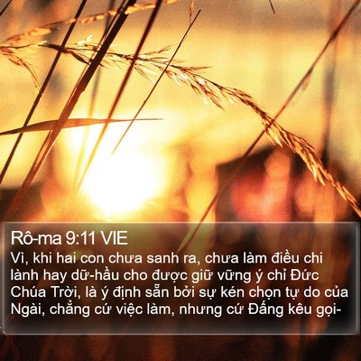 Rô-ma 9:11 VIE Bible Verse Image