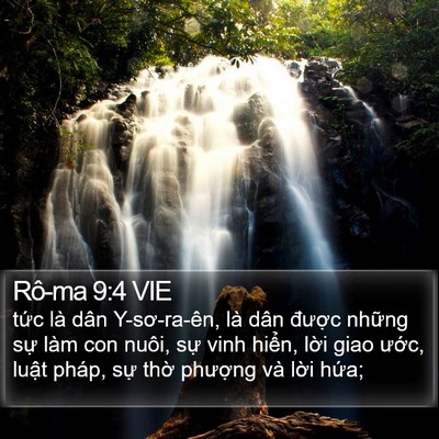 Rô-ma 9:4 VIE Bible Verse Image