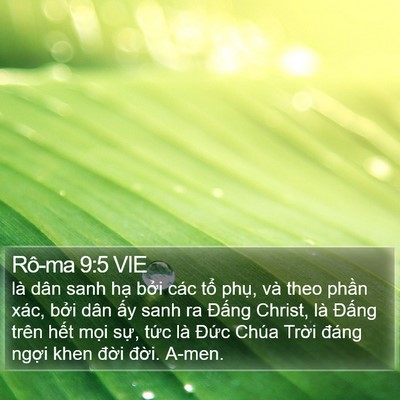 Rô-ma 9:5 VIE Bible Verse Image