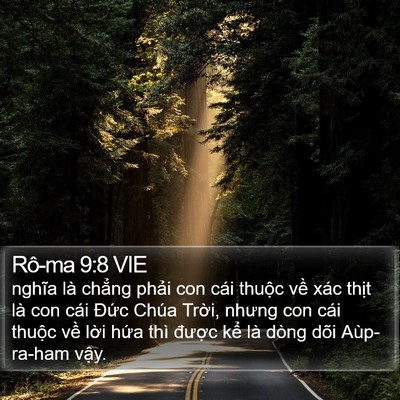 Rô-ma 9:8 VIE Bible Verse Image