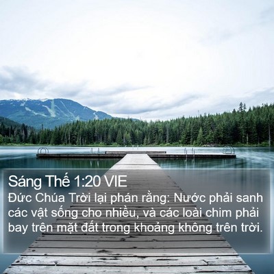 Sáng Thế 1:20 VIE Bible Verse Image