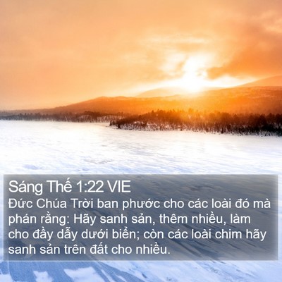 Sáng Thế 1:22 VIE Bible Verse Image