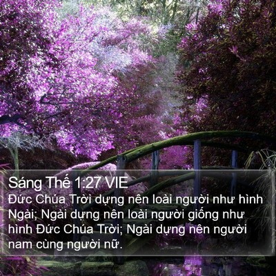 Sáng Thế 1:27 VIE Bible Verse Image