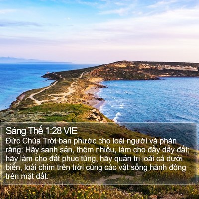 Sáng Thế 1:28 VIE Bible Verse Image