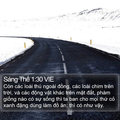 Sáng Thế 1:30 VIE Bible Verse Image