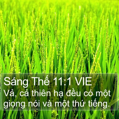 Sáng Thế 11:1 VIE Bible Verse Image