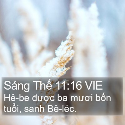 Sáng Thế 11:16 VIE Bible Verse Image