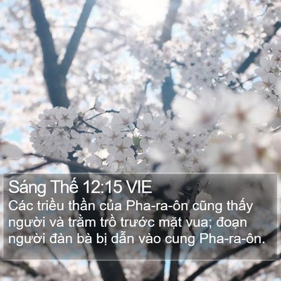 Sáng Thế 12:15 VIE Bible Verse Image