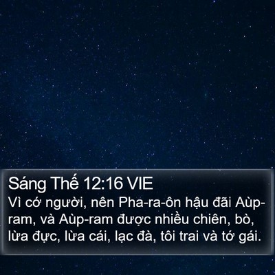 Sáng Thế 12:16 VIE Bible Verse Image