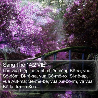 Sáng Thế 14:2 VIE Bible Verse Image