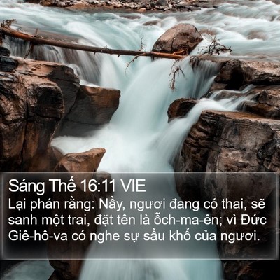 Sáng Thế 16:11 VIE Bible Verse Image