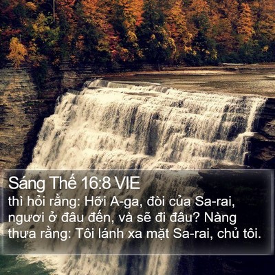 Sáng Thế 16:8 VIE Bible Verse Image