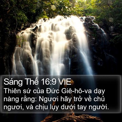 Sáng Thế 16:9 VIE Bible Verse Image