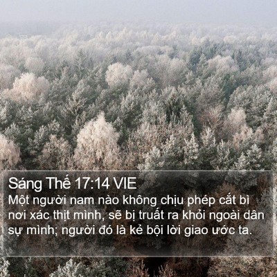 Sáng Thế 17:14 VIE Bible Verse Image