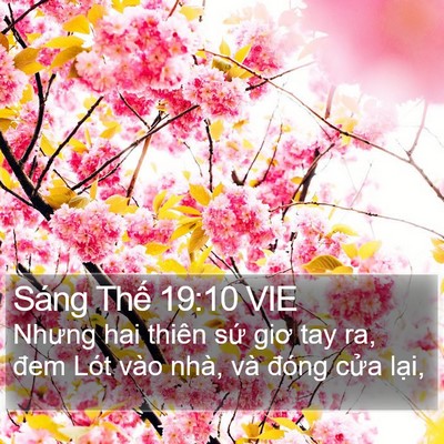 Sáng Thế 19:10 VIE Bible Verse Image