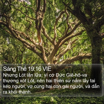 Sáng Thế 19:16 VIE Bible Verse Image