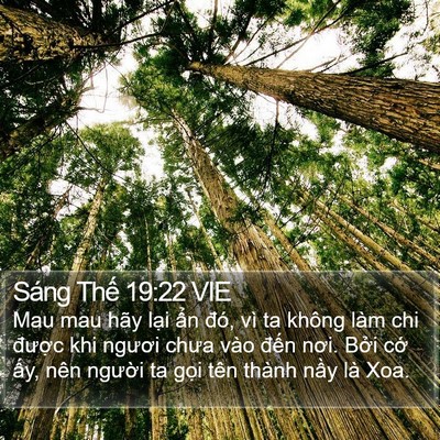 Sáng Thế 19:22 VIE Bible Verse Image
