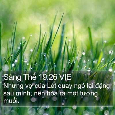 Sáng Thế 19:26 VIE Bible Verse Image