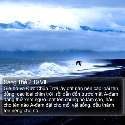 Sáng Thế 2:19 VIE Bible Verse Image