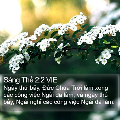 Sáng Thế 2:2 VIE Bible Verse Image