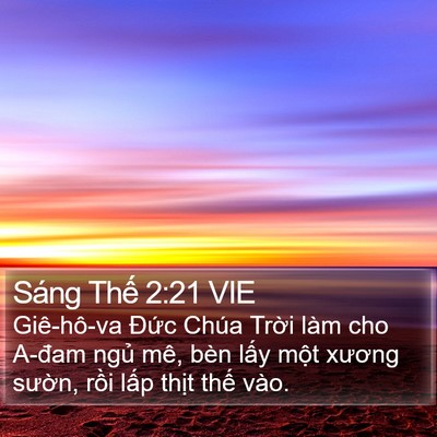 Sáng Thế 2:21 VIE Bible Verse Image