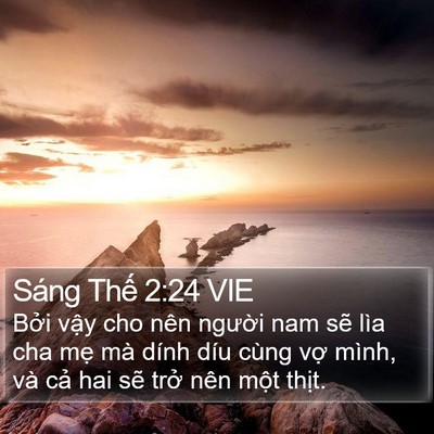Sáng Thế 2:24 VIE Bible Verse Image