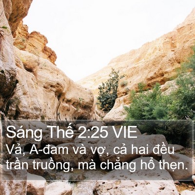 Sáng Thế 2:25 VIE Bible Verse Image