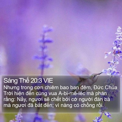 Sáng Thế 20:3 VIE Bible Verse Image