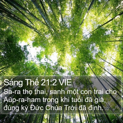 Sáng Thế 21:2 VIE Bible Verse Image